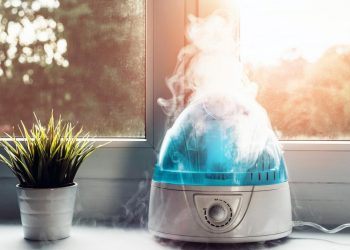 Choosing between a humidifier and dehumidifier