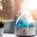 Choosing between a humidifier and dehumidifier