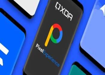 Rapid Web Application Development Platforms complete customization