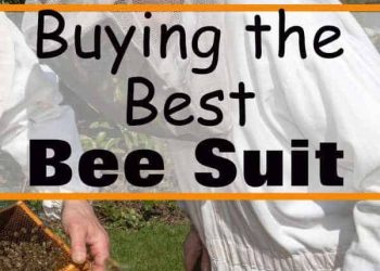 Best Beekeeping suits – Choose One