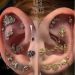 Unique Ear Piercings to Try Out Before the End of This Year