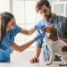 The True Cost of the Most Common Pet Illnesses