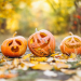 Halloween activity ideas for this festive season