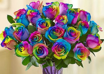 Can I Order a Bouquet for the Same Day Delivery?