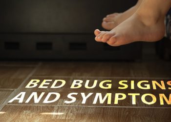 Bed Bug Signs and Symptoms