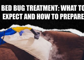 Bed Bug Treatment: What to Expect and How to Prepare