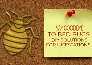 Say Goodbye to Bed Bugs: DIY Solutions for Infestations