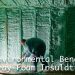 The Environmental Benefits of Spray Foam Insulation