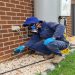 The Impact of Pest Infestations on Point Cook Homes: Why Professional Help is Essential
