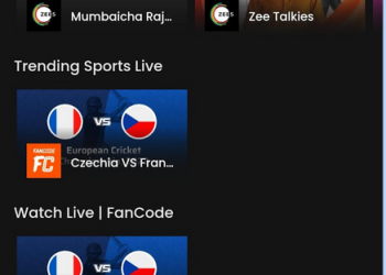 Engaging the Audience: Interactive and Immersive Indian Web Series on Watcho