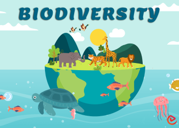 Introduction to biotechnology and biodiversity